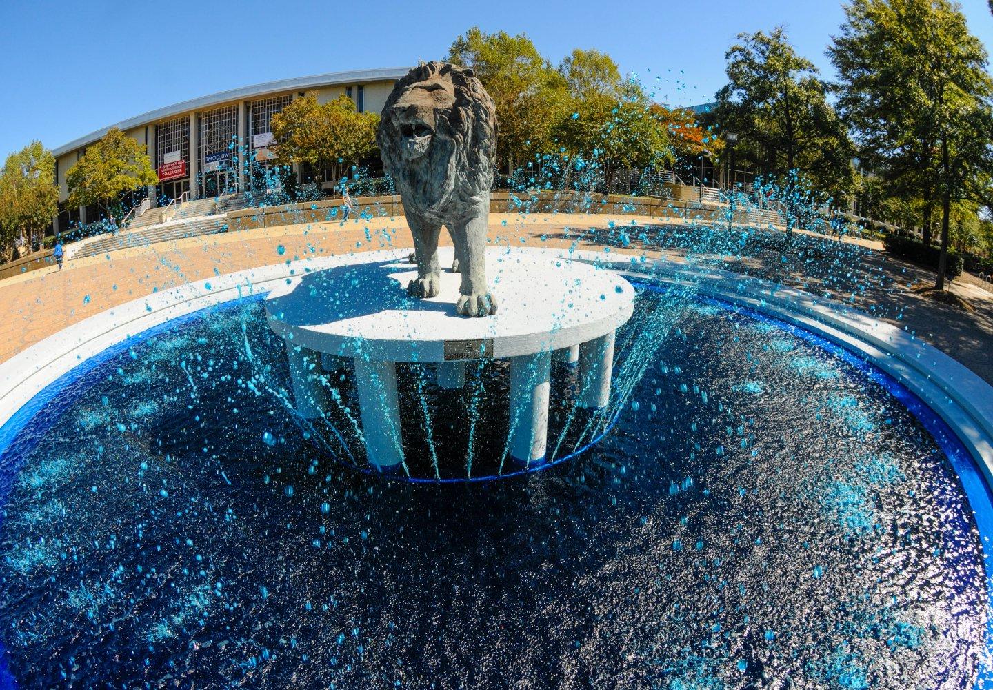 Lion Fountain at 首页coming